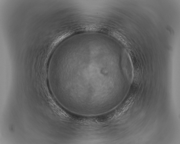 X0000111840673200907231409