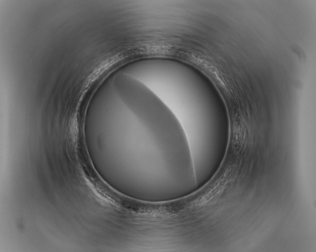 X0000111840674200907231408