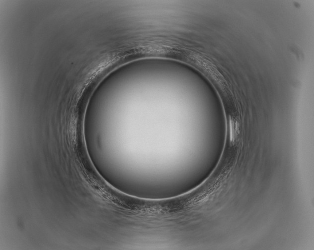 X0000111840675200907231408