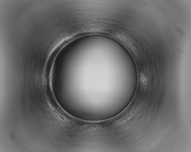 X0000111840676200907231408