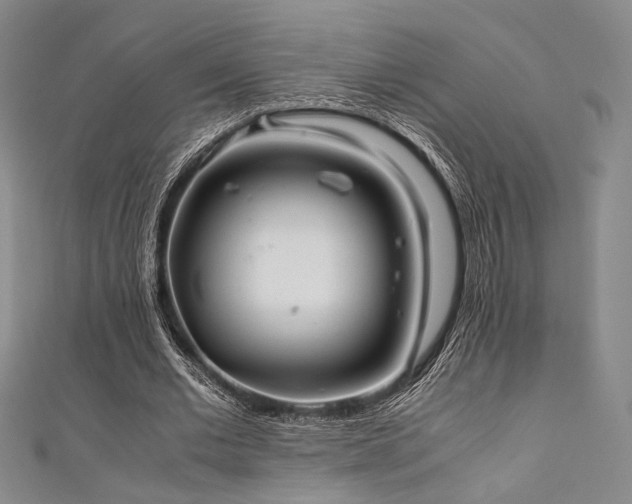 X0000111840677200907231408