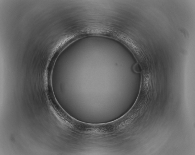 X0000111840678200907231408