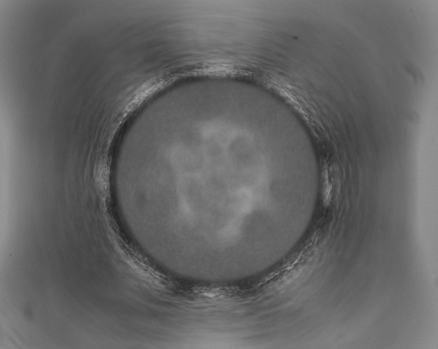 X0000111840679200907231408