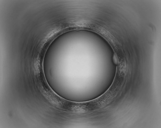 X0000111840680200907231408