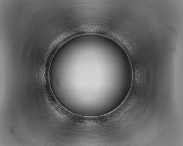 X0000111840682200907231408