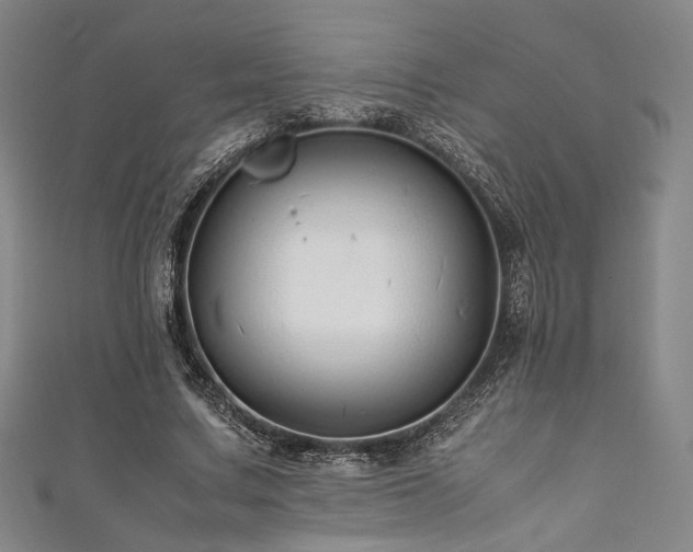 X0000111840683200907231408