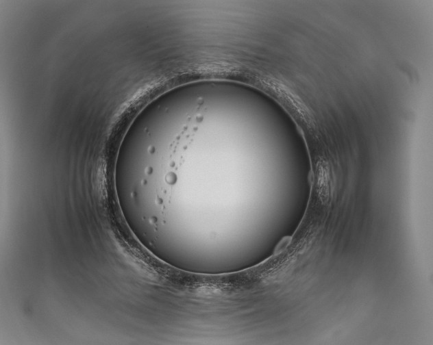 X0000111840684200907231408