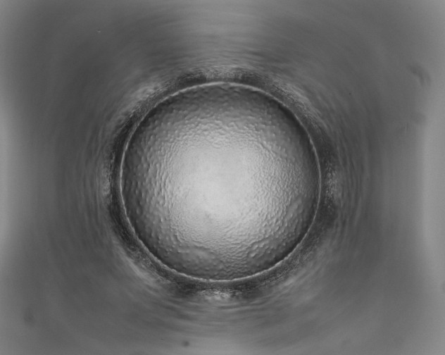 X0000111840687200907231408