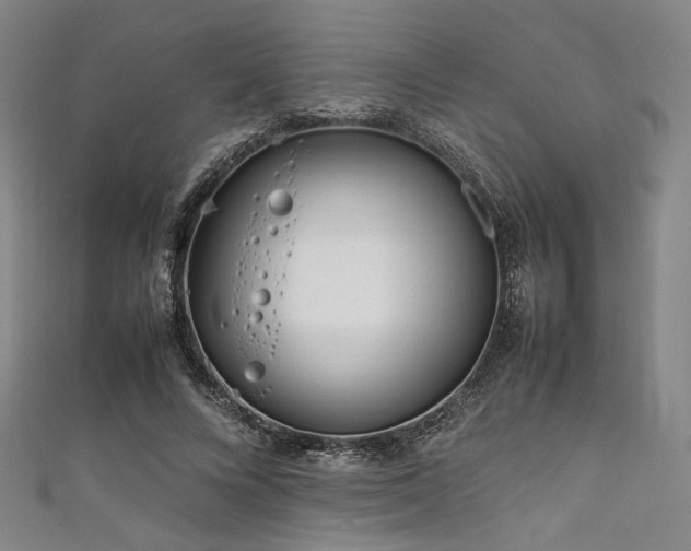 X0000111840688200907231408