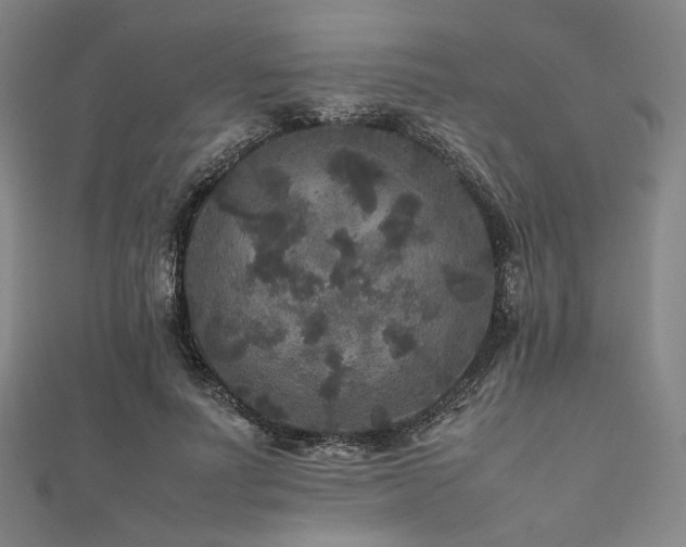 X0000111840691200907231408