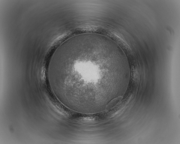 X0000111840692200907231408