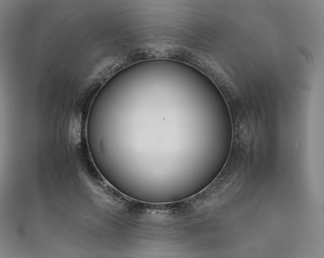 X0000111840694200907231408