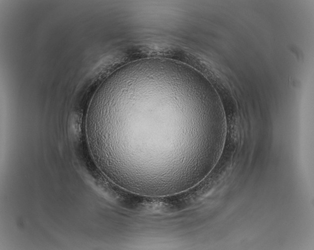 X0000111840695200907231408