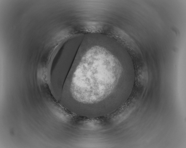 X0000111840696200907231408