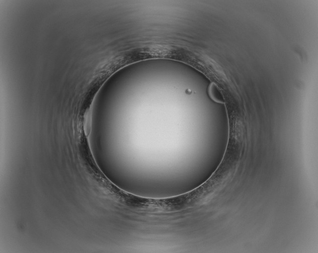 X0000111840697200907231408