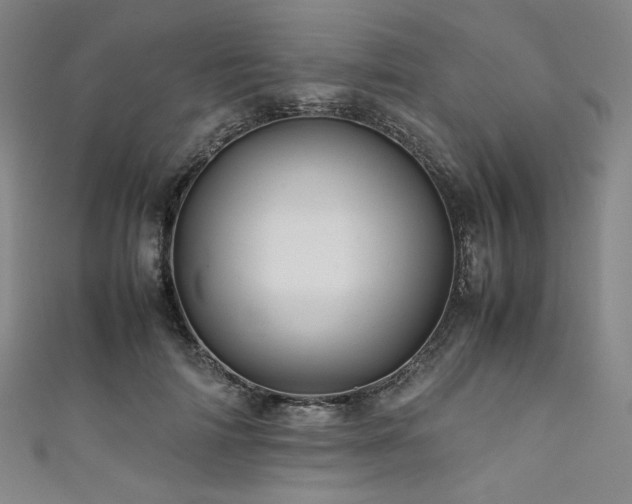 X0000111840698200907231408