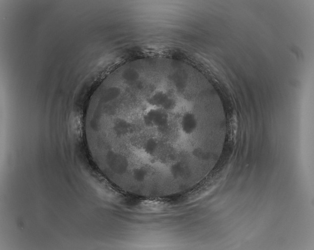 X0000111840699200907231408