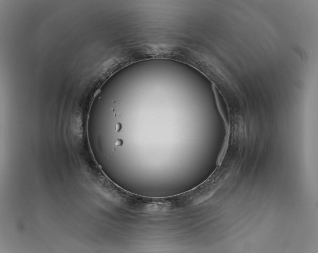 X0000111840700200907231408