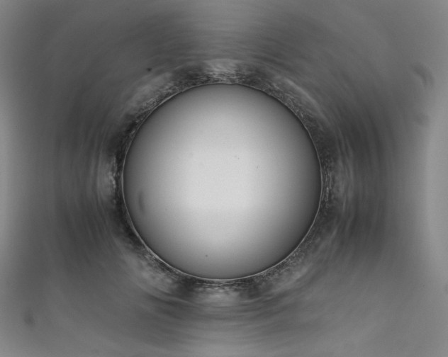 X0000111840702200907231408