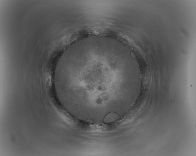 X0000111840703200907231408