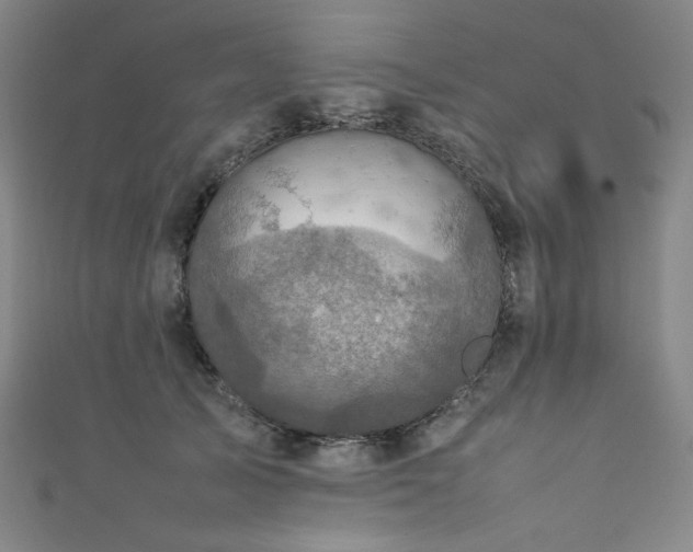 X0000111840705200907231408