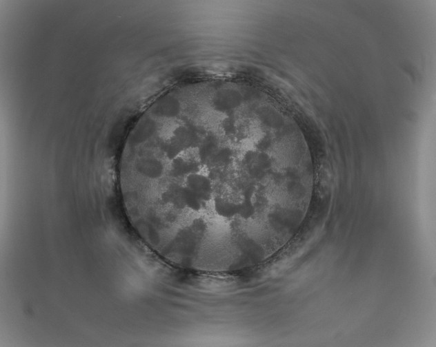 X0000111840707200907231408