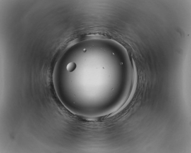 X0000111840708200907231408