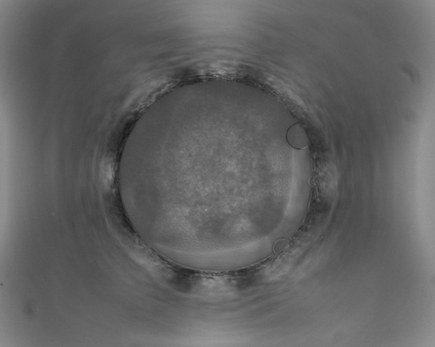 X0000111840709200907231408