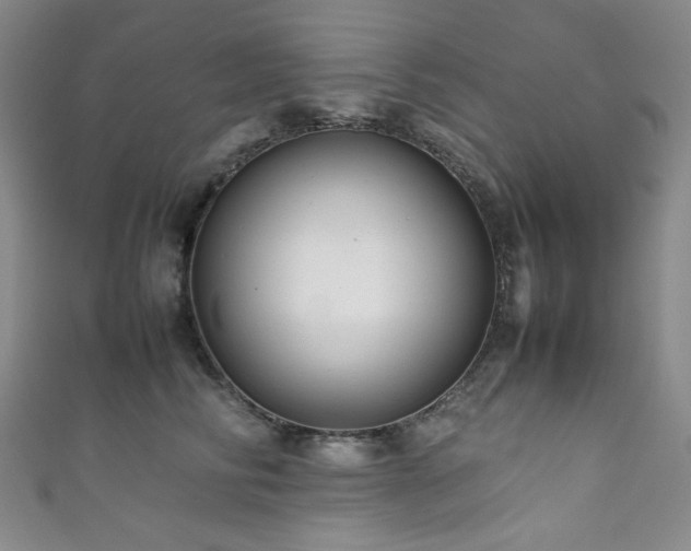 X0000111840710200907231408