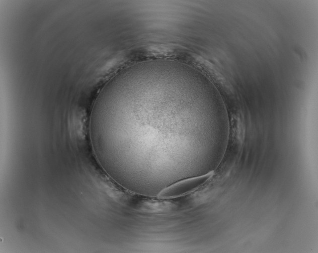 X0000111840712200907231408