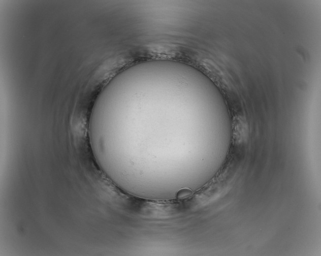 X0000111840713200907231408