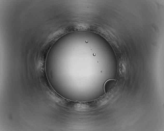 X0000111840714200907231408