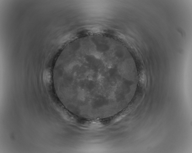 X0000111840715200907231408