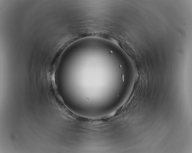 X0000111840716200907231408