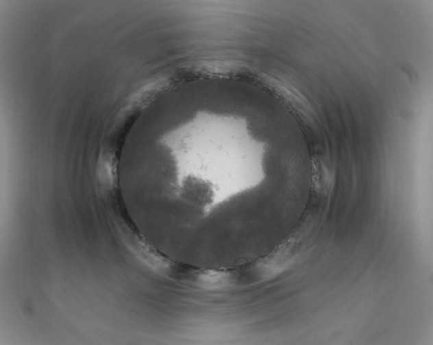 X0000111840718200907231408