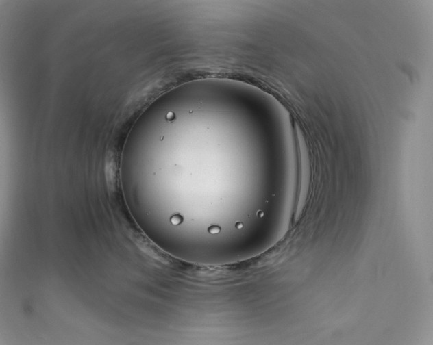 X0000111840720200907231408