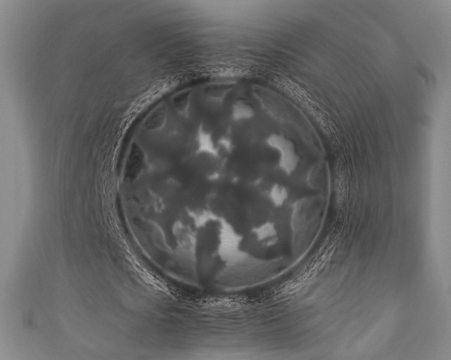 X0000111840721200907231407