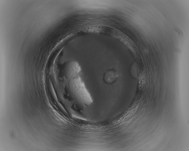 X0000111840722200907231407