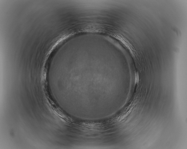 X0000111840723200907231407