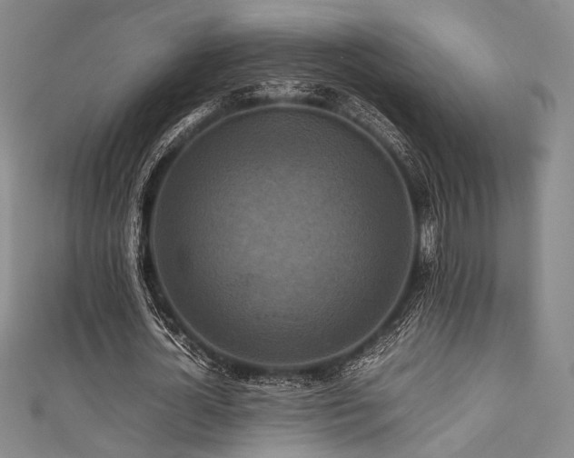 X0000111840724200907231407