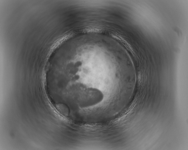 X0000111840725200907231407