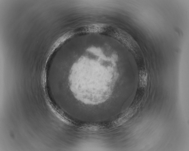 X0000111840726200907231407