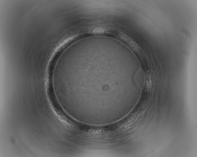 X0000111840728200907231407