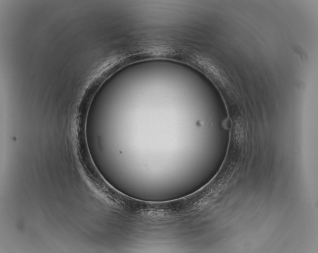 X0000111840730200907231407