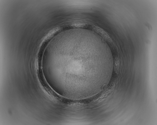 X0000111840734200907231407