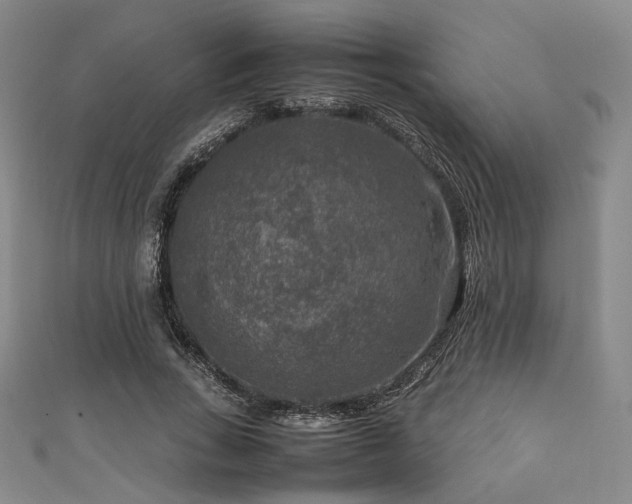 X0000111840735200907231407