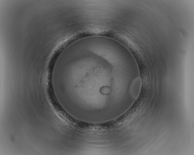 X0000111840736200907231407