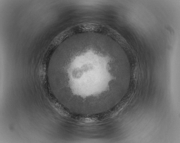 X0000111840737200907231407