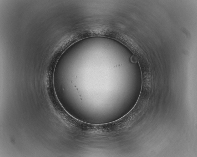 X0000111840738200907231407