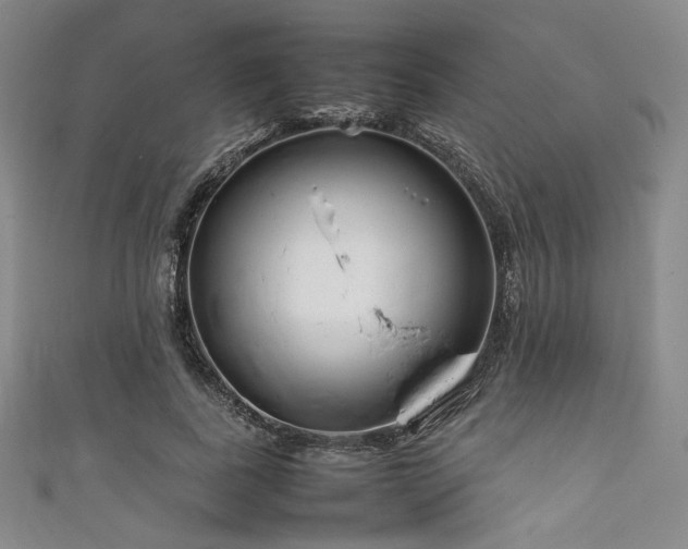 X0000111840739200907231408